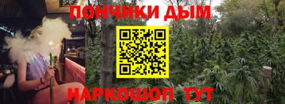 шишки Кимры