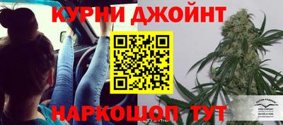 PSILOCYBIN Кингисепп