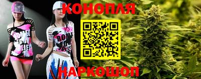 шишки Кимры