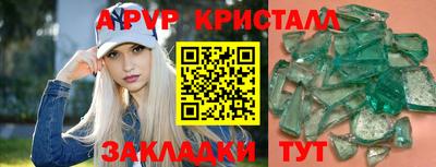 шишки Кимры